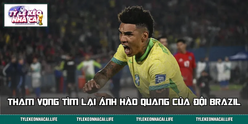 Giấc mơ lên ngôi vô địch của đội tuyển áo vàng xanh