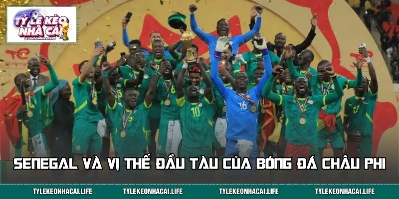 Đôi nét về đội tuyển Senegal